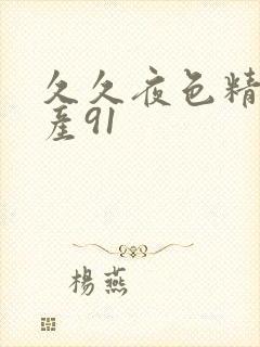 久久夜色精品国产91