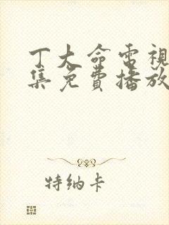 丁大命电视剧全集免费播放