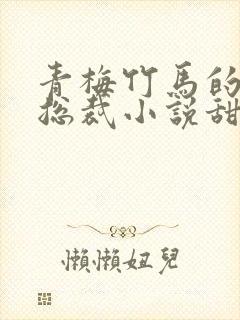 青梅竹马的霸道总裁小说甜宠文