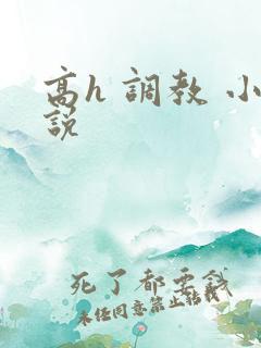 高h 调教 小说