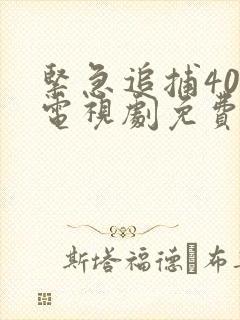 紧急追捕40集电视剧免费观看