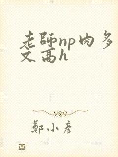 老师np肉多荤文高h