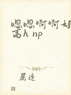嗯嗯啊啊好爽 高h np