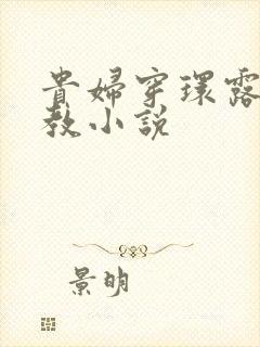 贵妇穿环露出调教小说