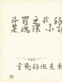 斗罗之我的武魂是魂环 小说