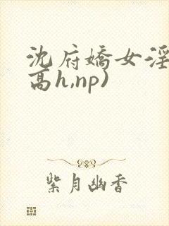 沈府娇女淫史(高h,np)