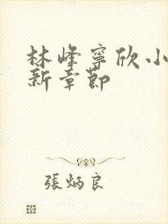 林峰宁欣小说最新章节