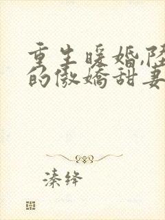 重生暖婚,陆少的傲娇甜妻