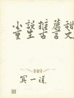 小说推荐甜宠文重生古言文