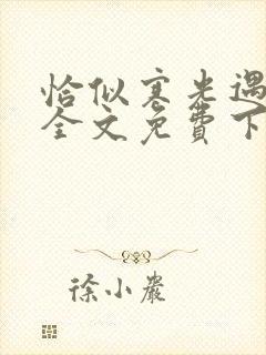 恰似寒光遇骄阳全文免费下载