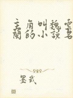 主角叫魏云杨若兰的小说名字