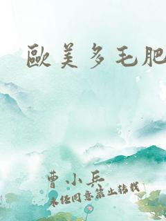 欧美多毛肥妇