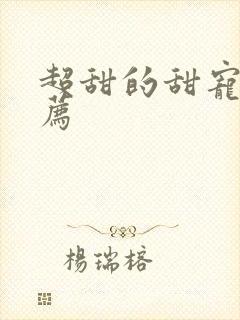 超甜的甜宠剧推荐