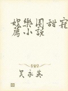 娱乐圈甜宠文推荐小说