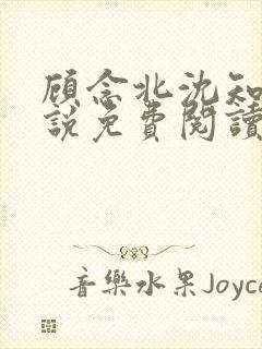 顾念北沈知宁小说免费阅读最新章节