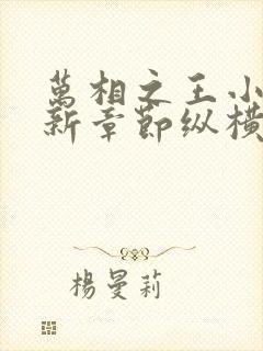 万相之王小说最新章节纵横全文阅读