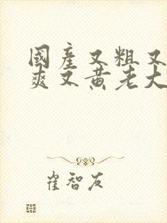 国产又粗又猛又爽又黄老大爷