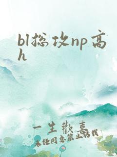 bl总攻np高h