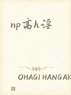 np高h淫