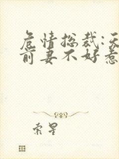 危情总裁:天价前妻不好惹