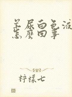 羊尿白色液体是怎么回事