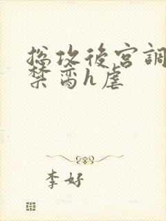 总攻后宫调教成禁脔h虐