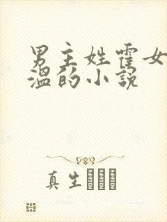 男主姓霍女主姓温的小说