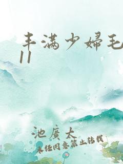 丰满少妇毛片911