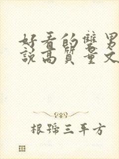 好看的双男主小说高质量文笔好