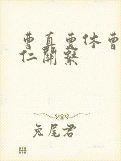 曹真曹休曹洪曹仁关系