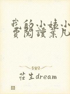 我的小姨小说免费阅读叶凡