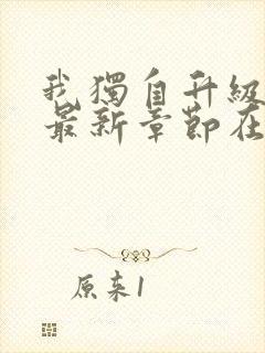 我独自升级小说最新章节在线阅读