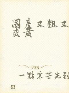 国产又粗又猛又爽黄