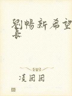 刘畅新希望董事长