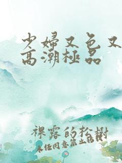 少妇又色又爽又高潮极品