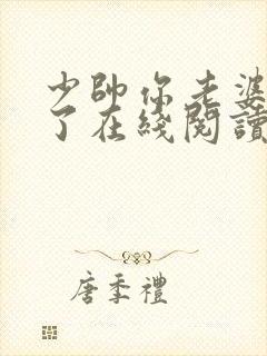 少帅你老婆又跑了在线阅读