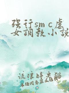 强行sm c虐女调教小说