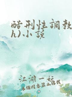 酷刑性调教(高h)小说