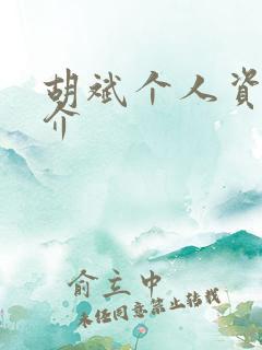 胡斌个人资料简介