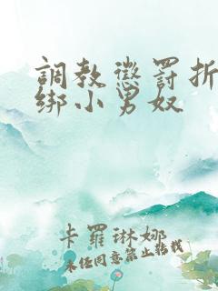 调教惩罚折磨捆绑小男奴