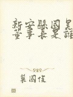 新安县国昊集团董事长是谁