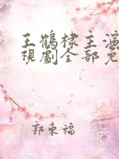 王鹤棣主演的电视剧全部免费观看