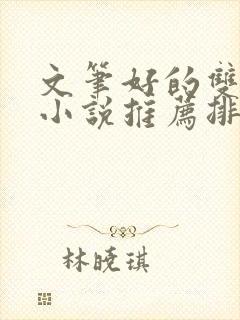 文笔好的双男主小说推荐排行榜