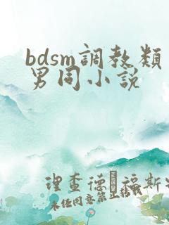 bdsm调教类男同小说
