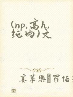 (np,高h,纯肉)文