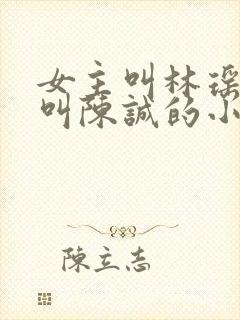 女主叫林瑶男主叫陈诚的小说