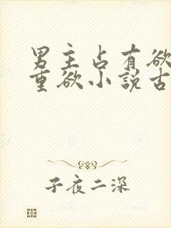 男主占有欲强且重欲小说古言