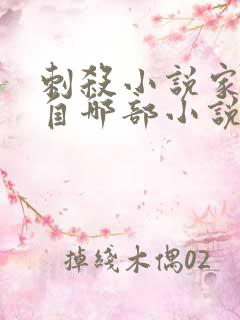 刺杀小说家改编自哪部小说