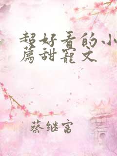 超好看的小说推荐甜宠文