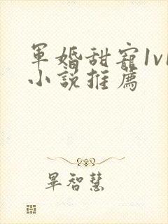 军婚甜宠1v1小说推荐
